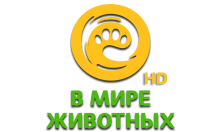 Логотип Animal Family HD