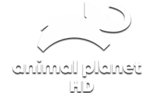 Логотип Animal Planet HD