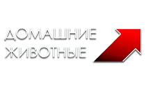 Логотип Домашние животные