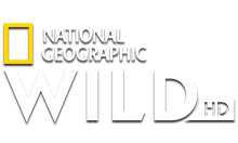 Логотип Nat Geo Wild HD